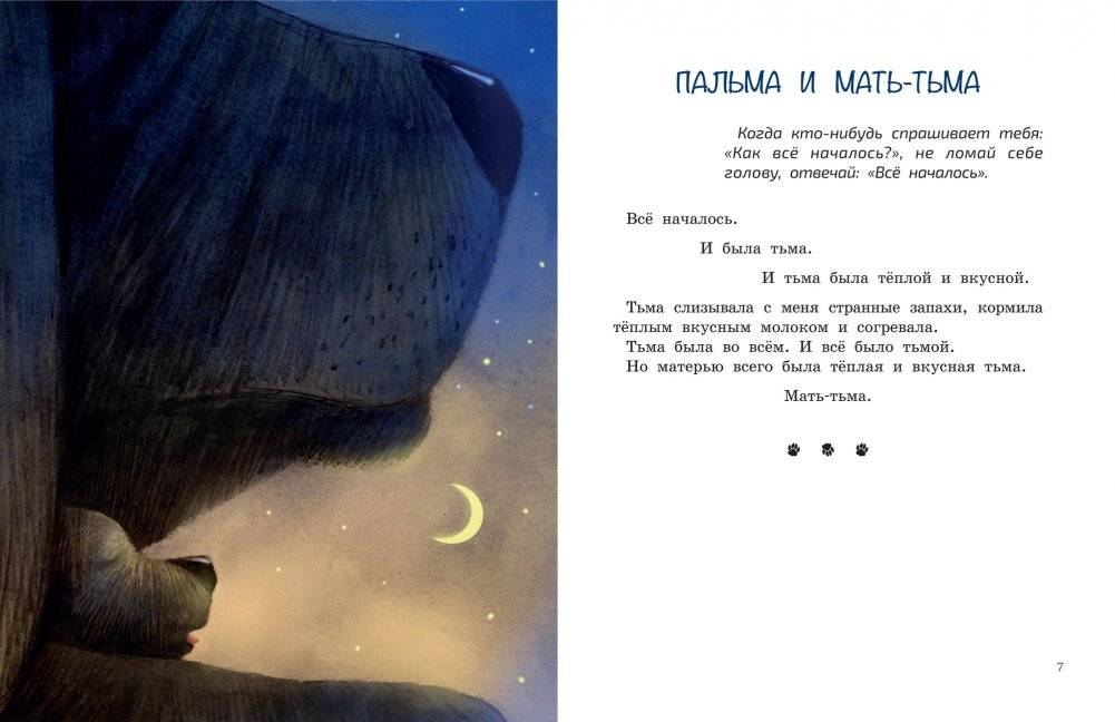 Приключения Пальмы. Зеленый забор. Книга 1 фото книги 2