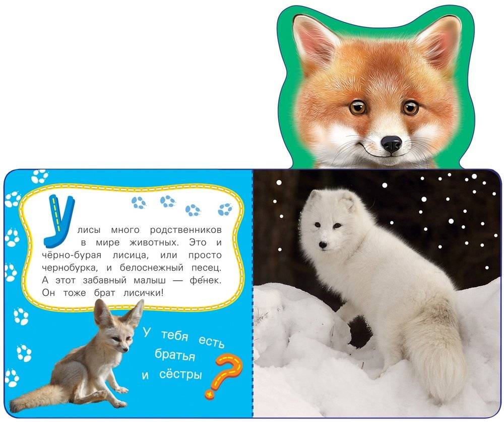 Лиса фото книги 2