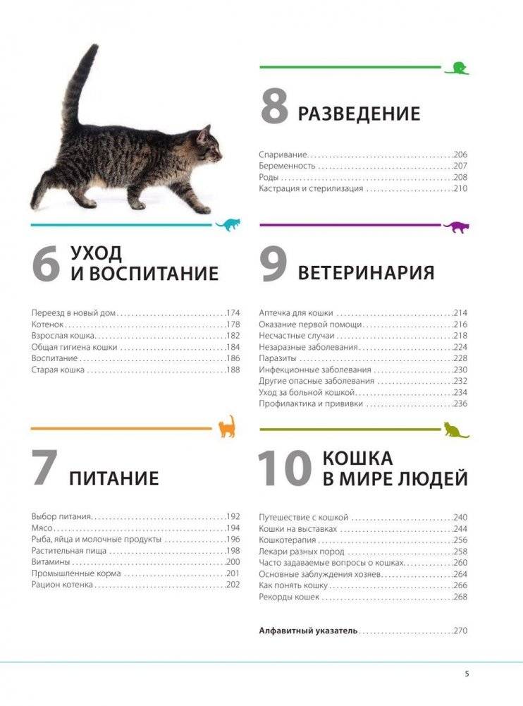 Кошки. Самая полная иллюстрированная энциклопедия фото книги 4