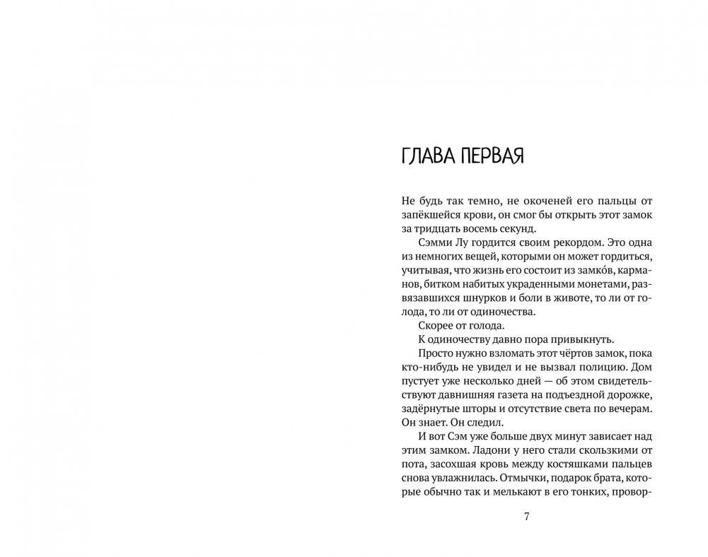 Мальчик, который крадет дома фото книги 4