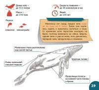 Подводный мир. Серия "Планета животных" фото книги 5