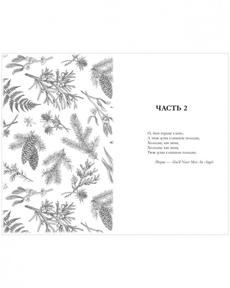 Сердце зимы фото книги 2