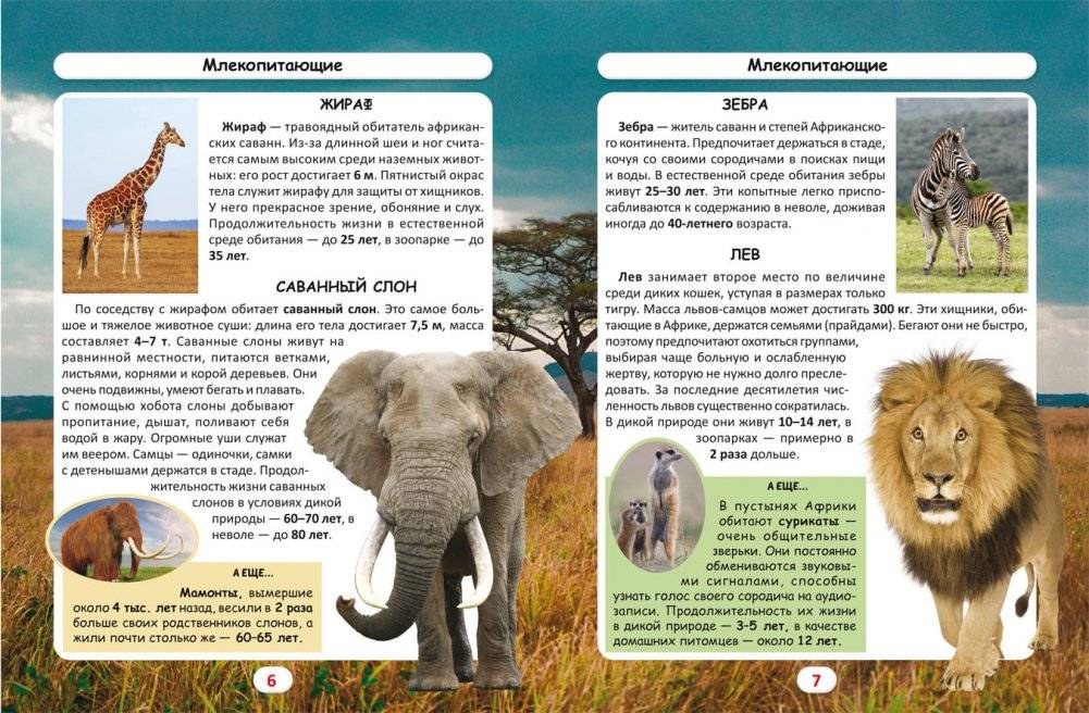 Мир вокруг нас. Кто сколько живет? Фотоэнциклопедия фото книги 2