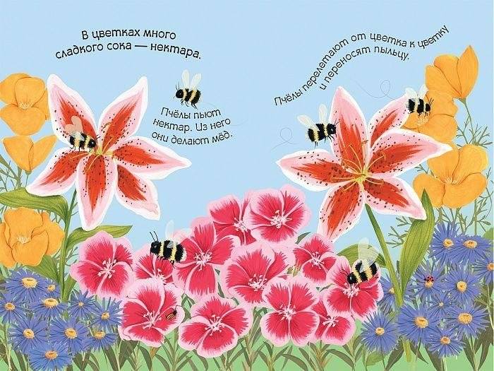 Цветы фото книги 3