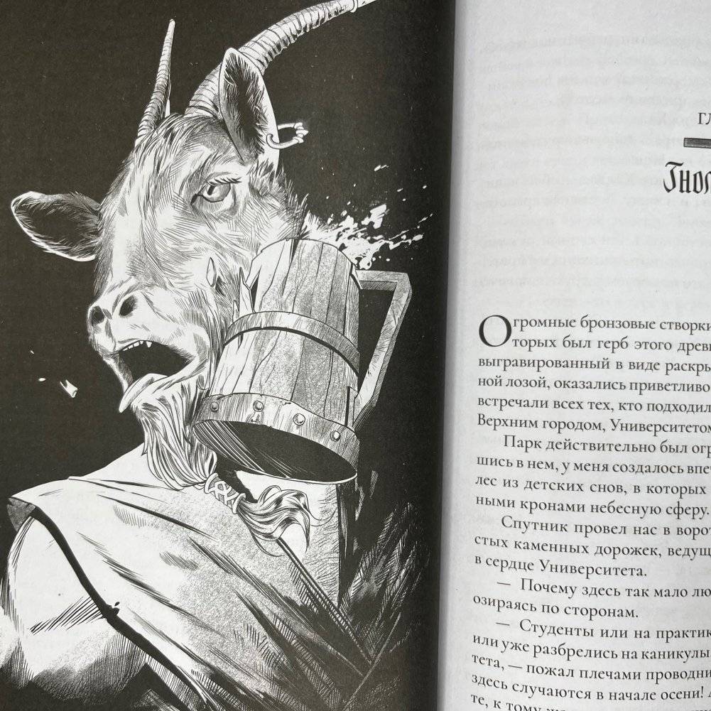 Джанга с тенями. Коллекционное издание фото книги 5