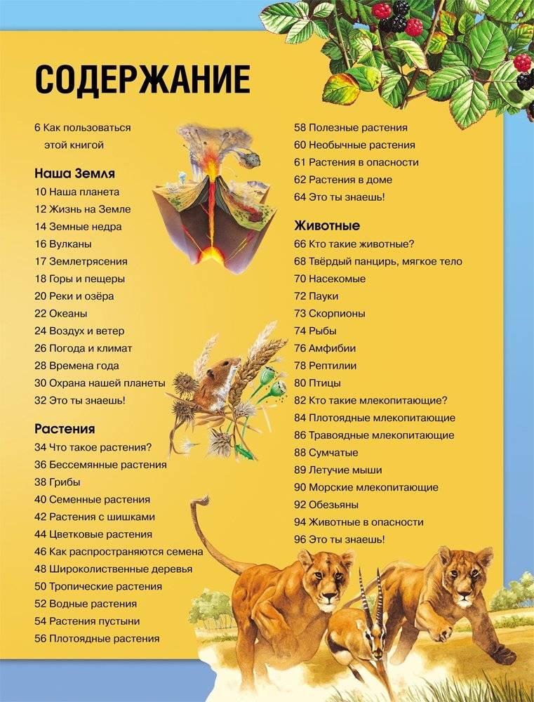 Энциклопедия необходимых знаний фото книги 4