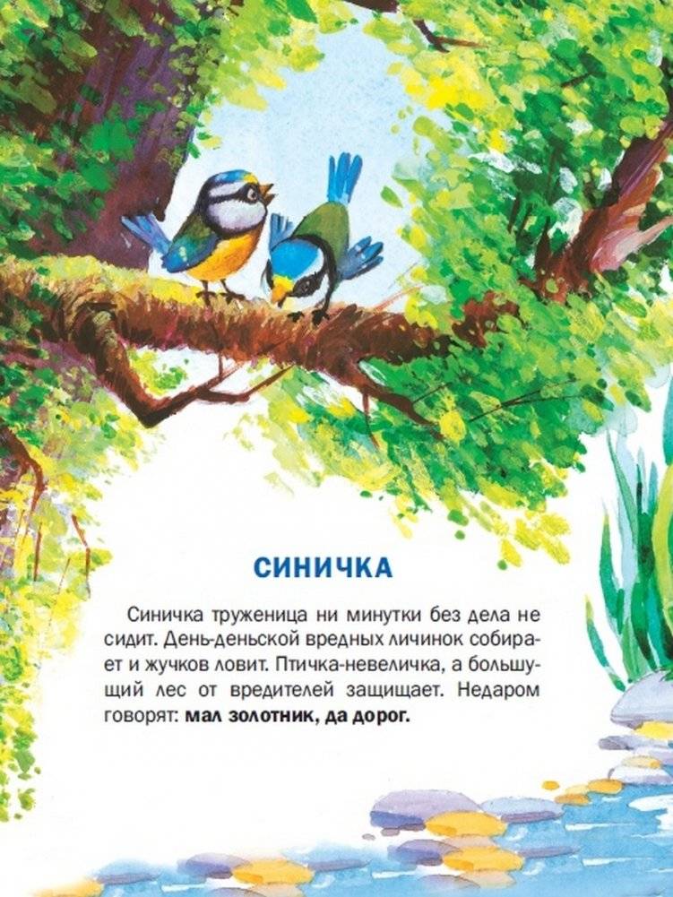 Познавайка фото книги 4