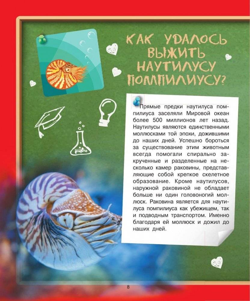 Детская энциклопедия в вопросах и ответах. Где? Когда? Как? фото книги 11