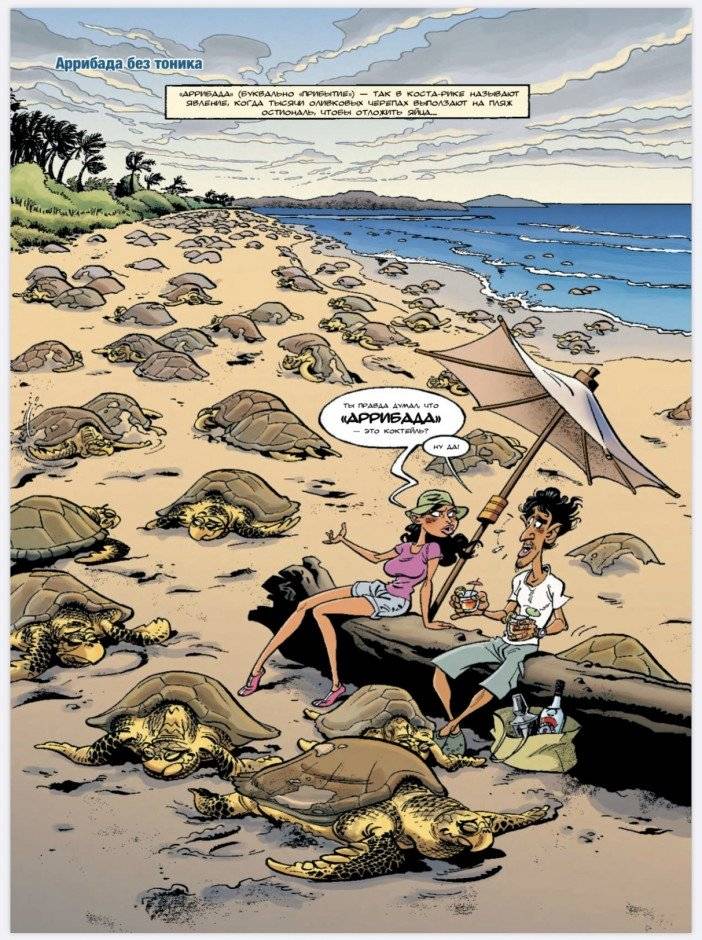Морские животные в комиксах. Том 4 фото книги 2