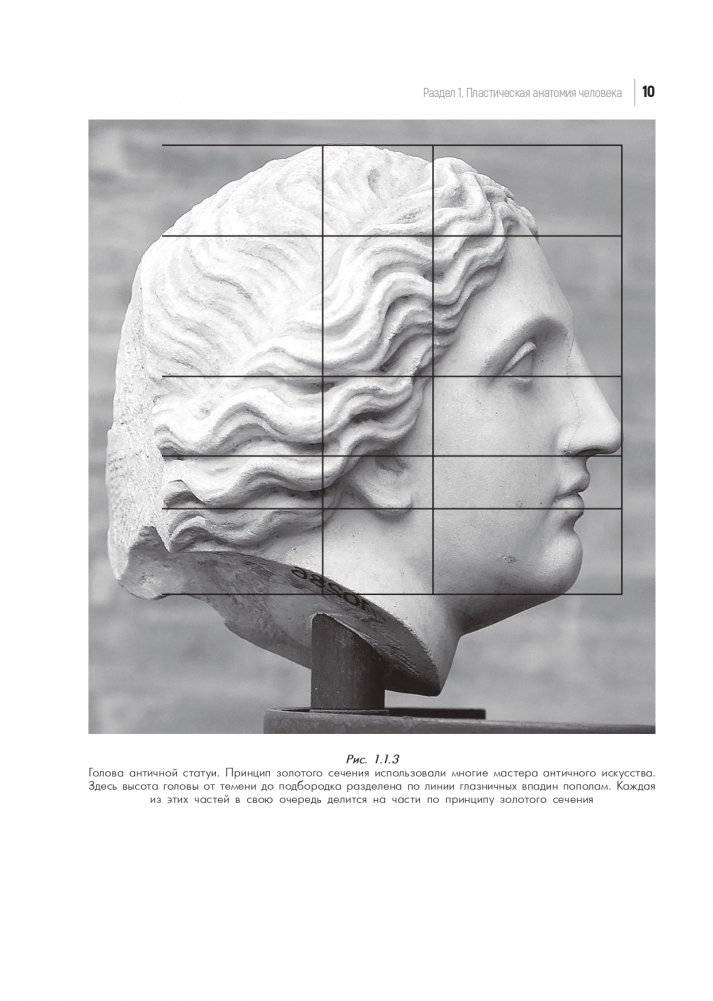 Практикум по пластической анатомии фото книги 11