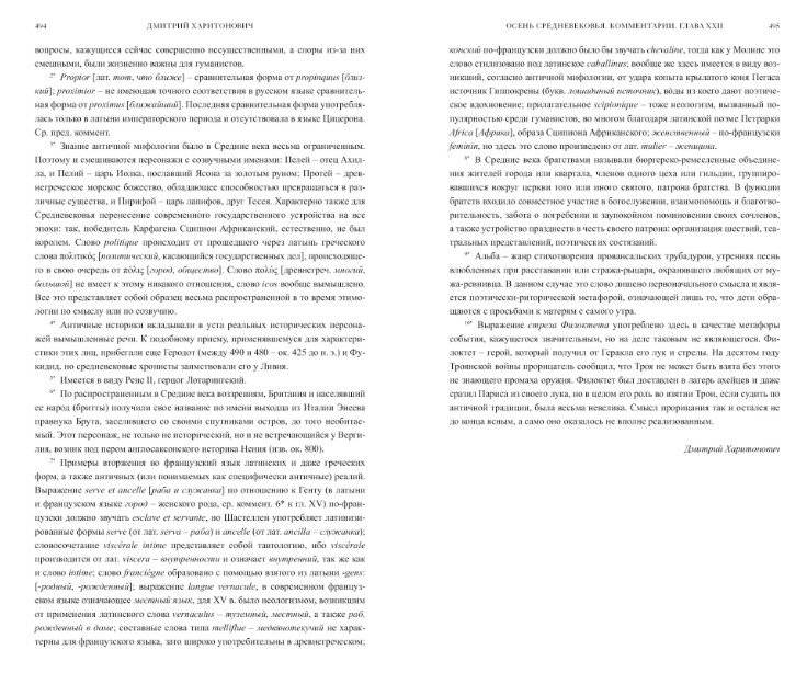 Осень Средневековья. Homo ludens. Эссе фото книги 2