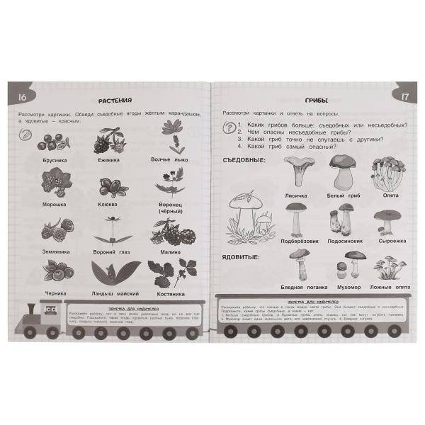 Брошюра "Окружающий мир". Задания на 365 дней скоро в школу фото книги 3