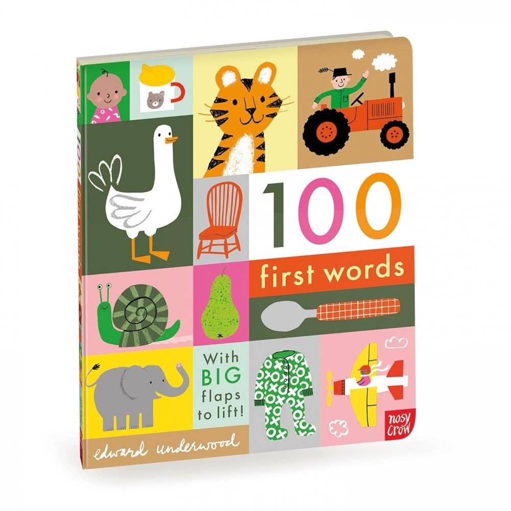 100 First Words фото книги 4