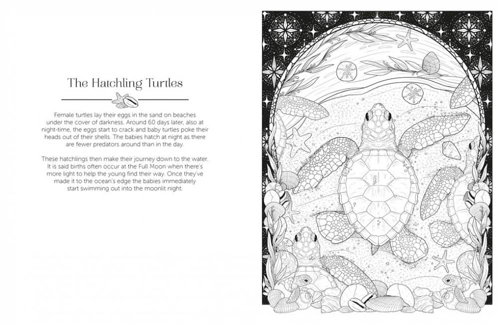 Luna Colouring : Embrace the Magic of the Moon фото книги 4