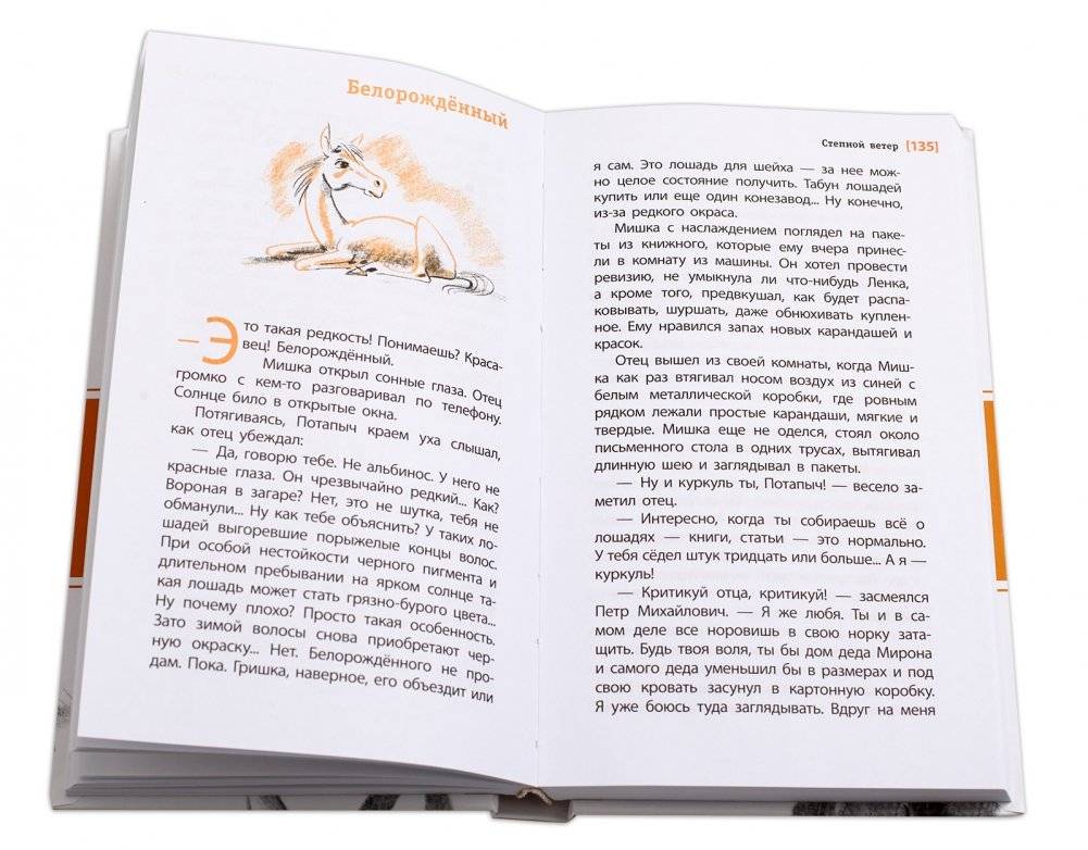 Степной ветер фото книги 2