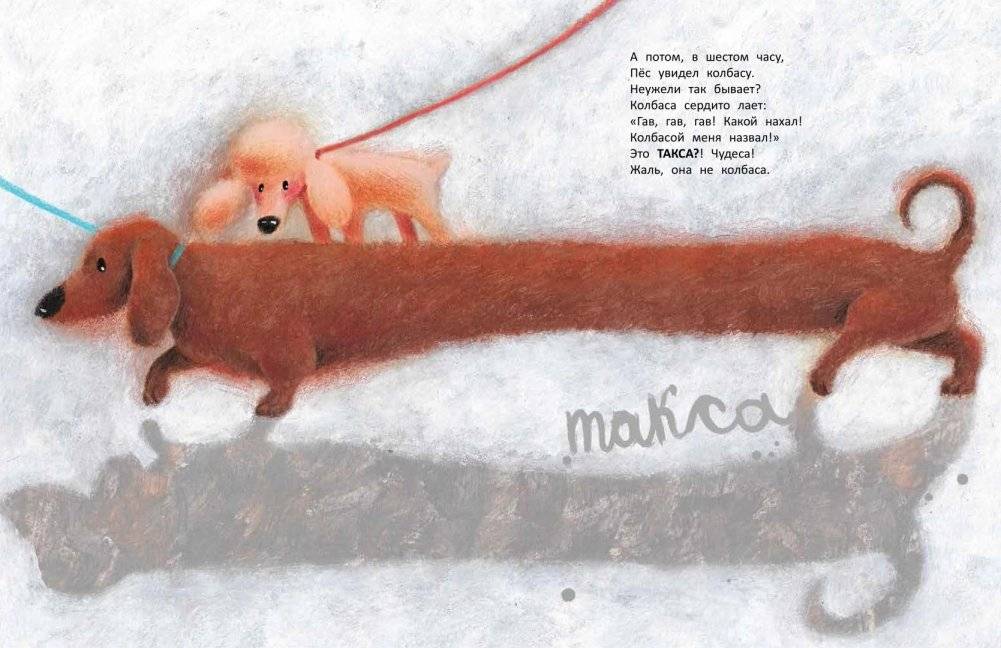 Вышел пудель погулять фото книги 4