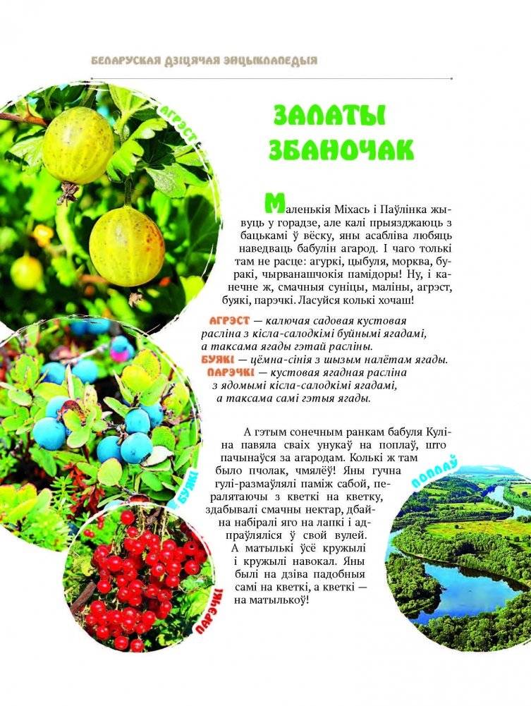 Едзем да бабулі ў вёску фото книги 4