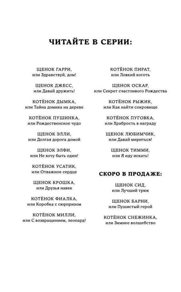 Щенок Тимми, или Я иду искать! фото книги 3