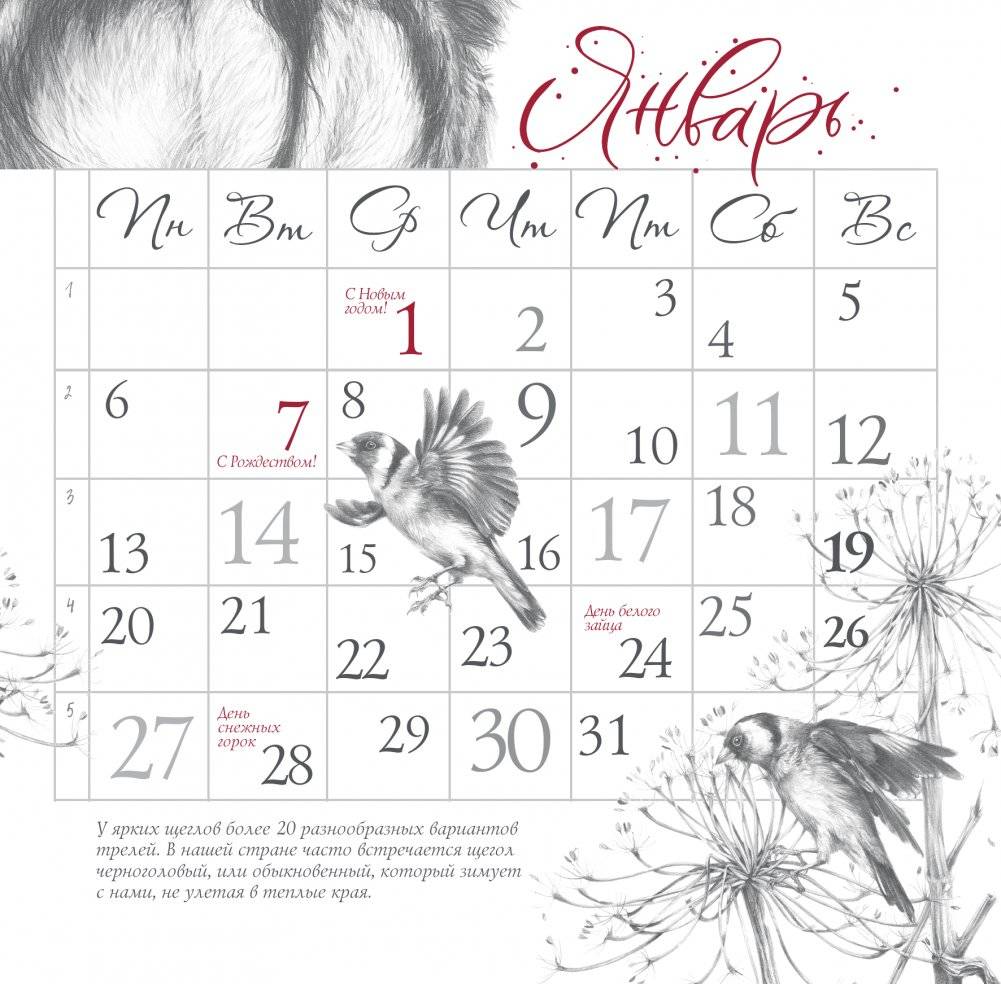 Арт-календарь. Природа в серебре 2025 год фото книги 2