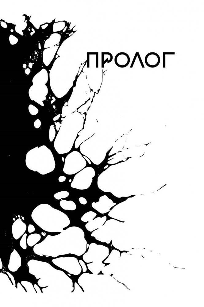 Расколотая душа. Кн. 1. Картина смерти фото книги 5