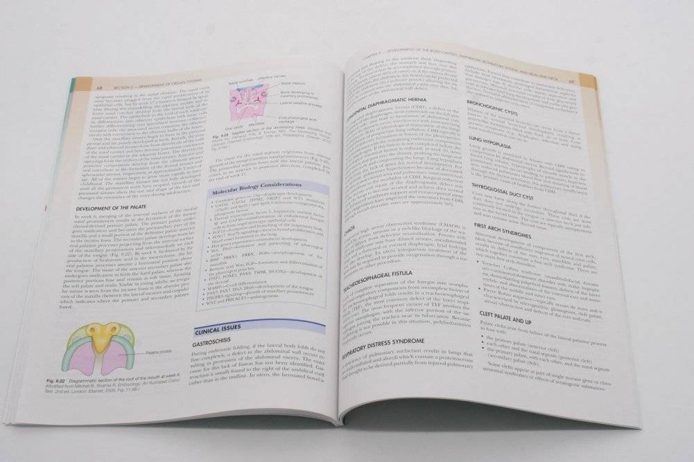 Concise clinical embryology: an integrated, case-based approach фото книги 5