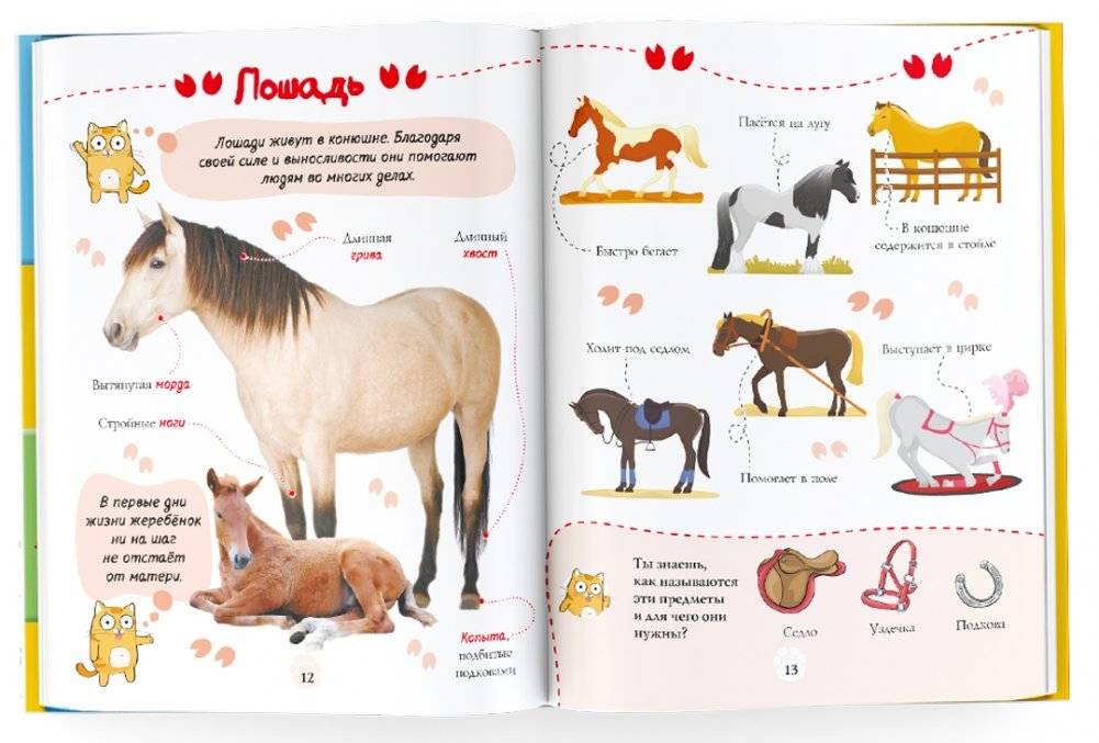 Первая книжка малыша о животных фото книги 4