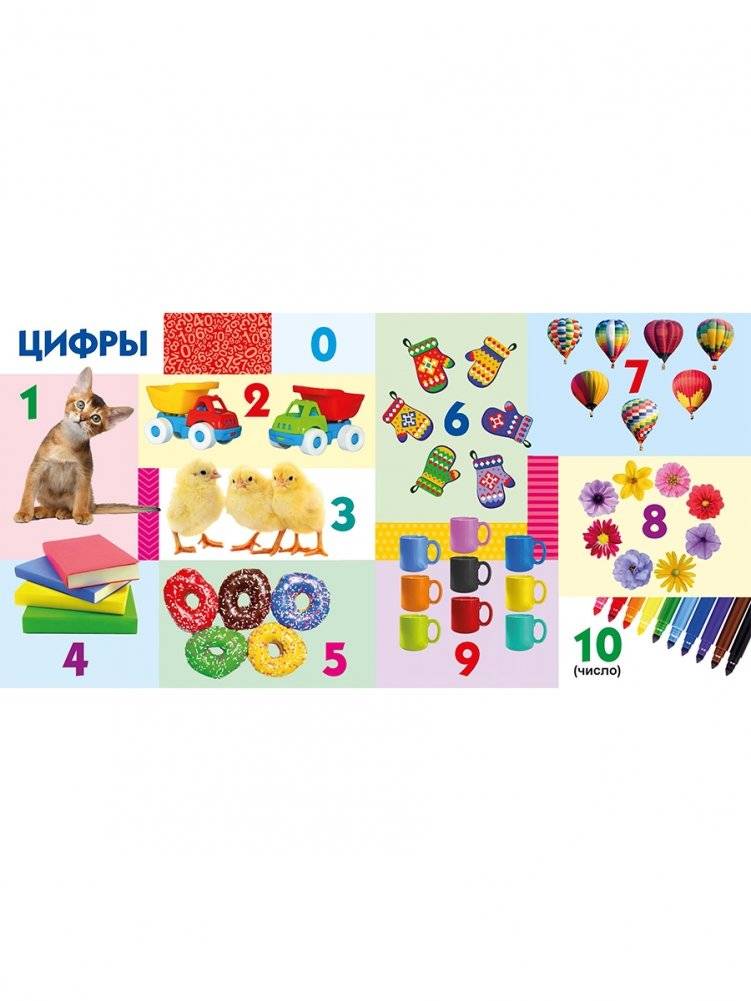 Твои любимые книжки. Мир вокруг тебя фото книги 7