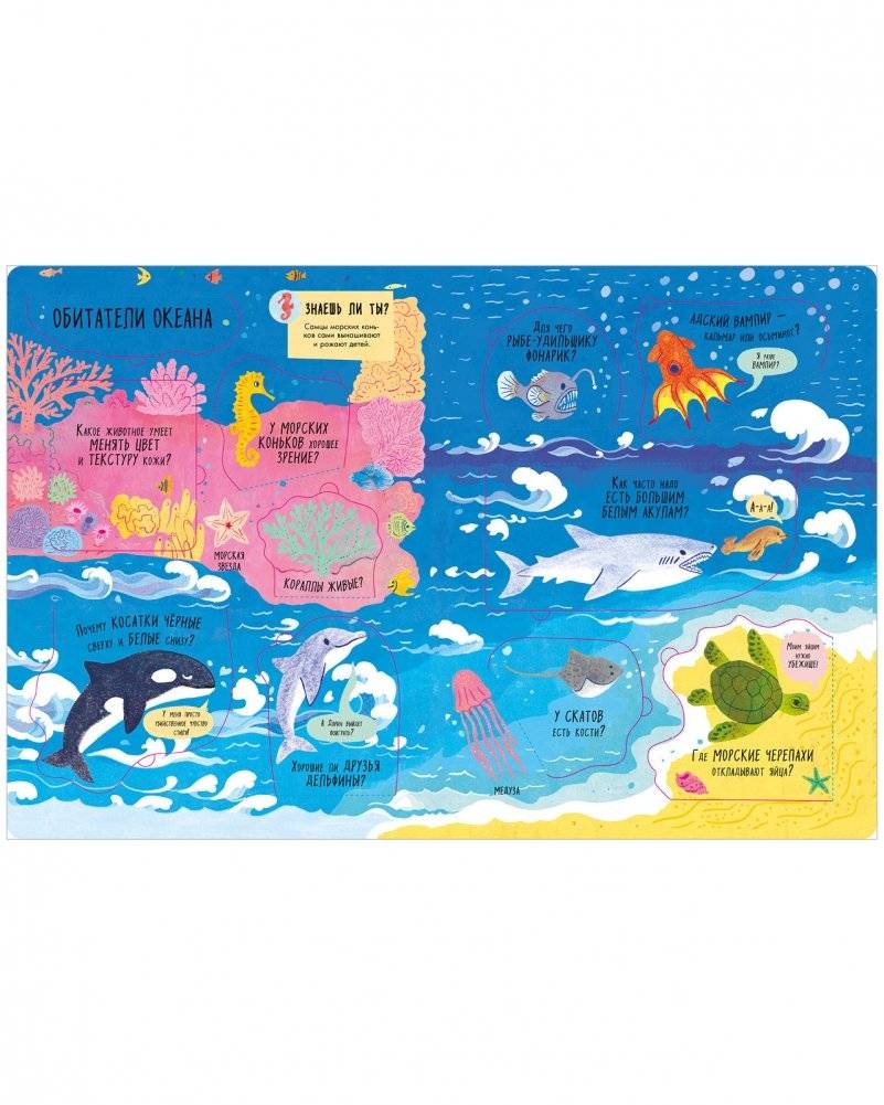 Большая книга с окошками. Животные фото книги 4