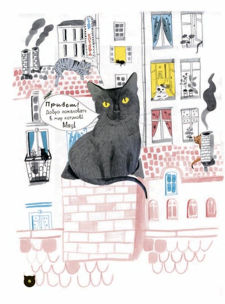 А вот и кот фото книги 4
