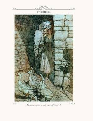 Сказки братьев Гримм (количество томов: 2) фото книги 2