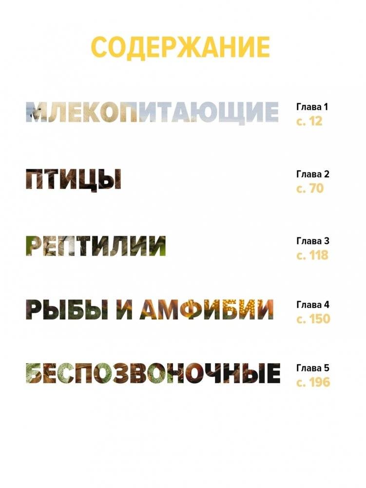 Тайны животных. Большая иллюстрированная энциклопедия фото книги 2