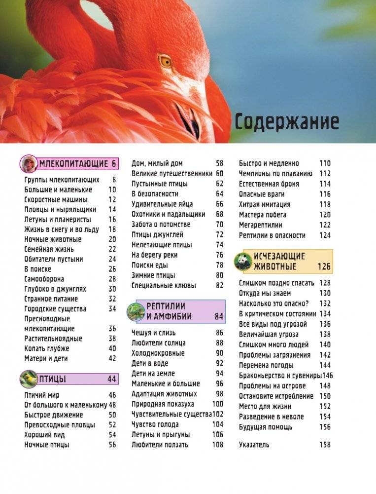 Животные фото книги 6