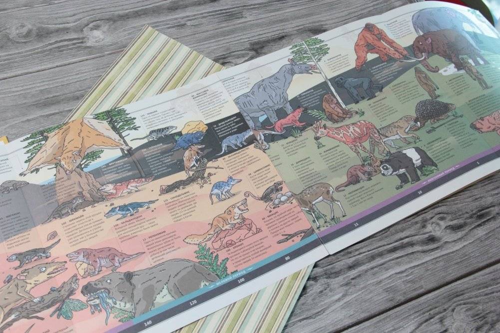 Животные фото книги 5