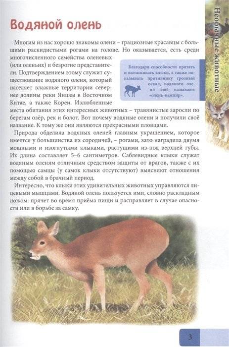 Энциклопедия. В мире знаний. Необычные животные фото книги 3
