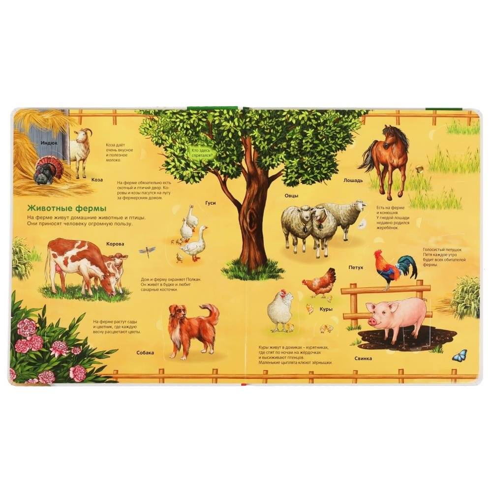Первая энциклопедия малыша "Животные" фото книги 2