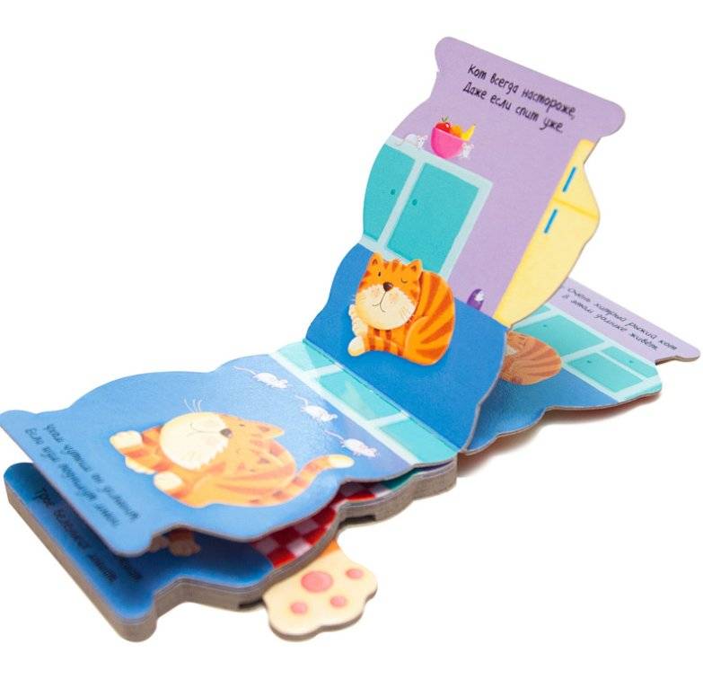 Я котик фото книги 3