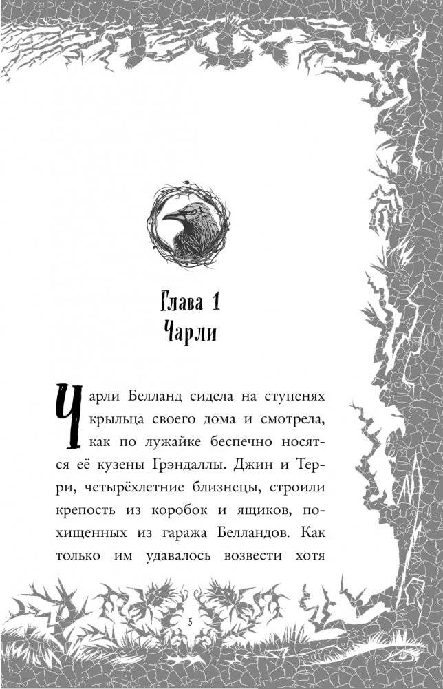 Загадка старого особняка (выпуск 3) фото книги 5