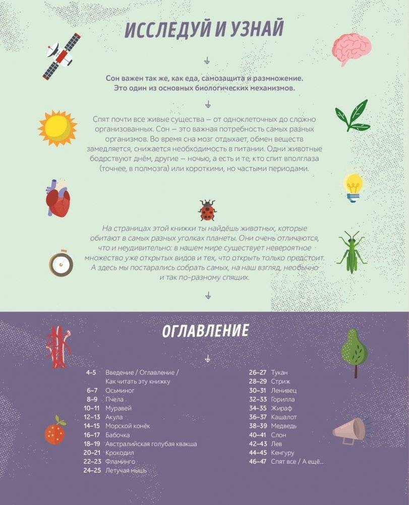 Как спит пчела? Удивительные факты о животных и их суперспособностях фото книги 2