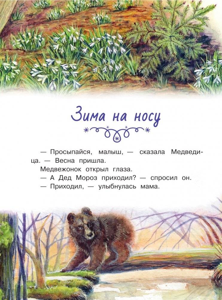 Снежные сказки для почемучки фото книги 5