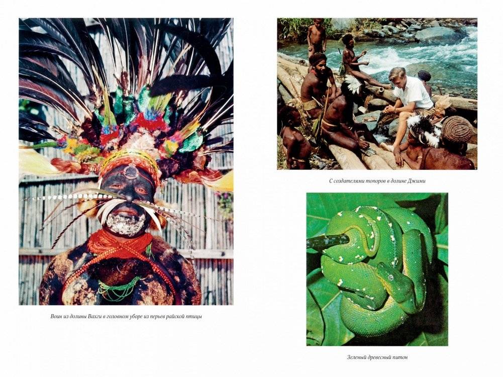 Путешествия на другую сторону света фото книги 2