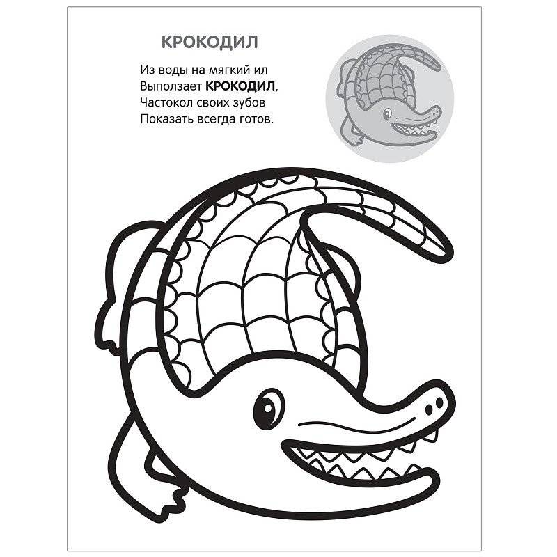 Раскраска с наклейками "В Африке" фото книги 2