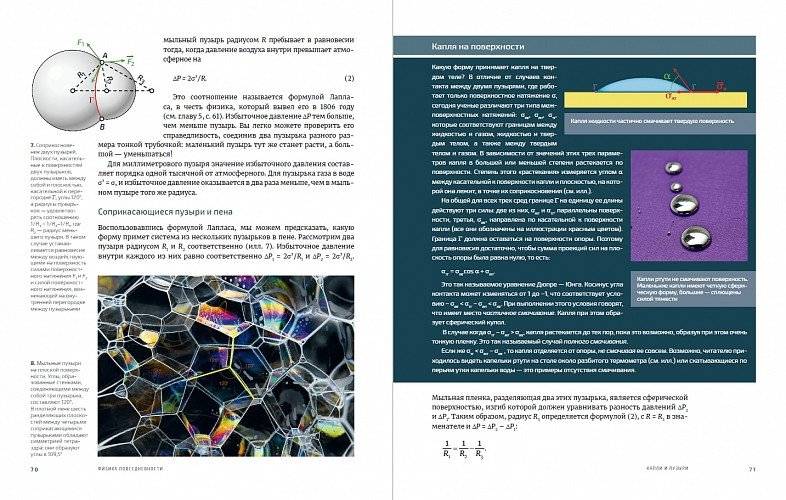 Физика повседневности: от мыльных пузырей до квантовых технологий фото книги 5