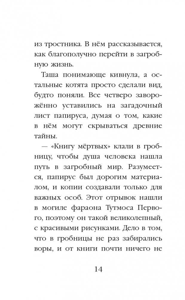 Проклятие кошачьего папируса фото книги 15