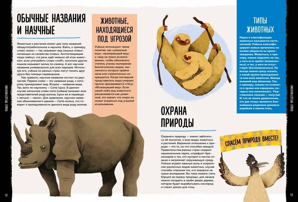 Мир вокруг тебя. Эти невероятные животные! фото книги 3