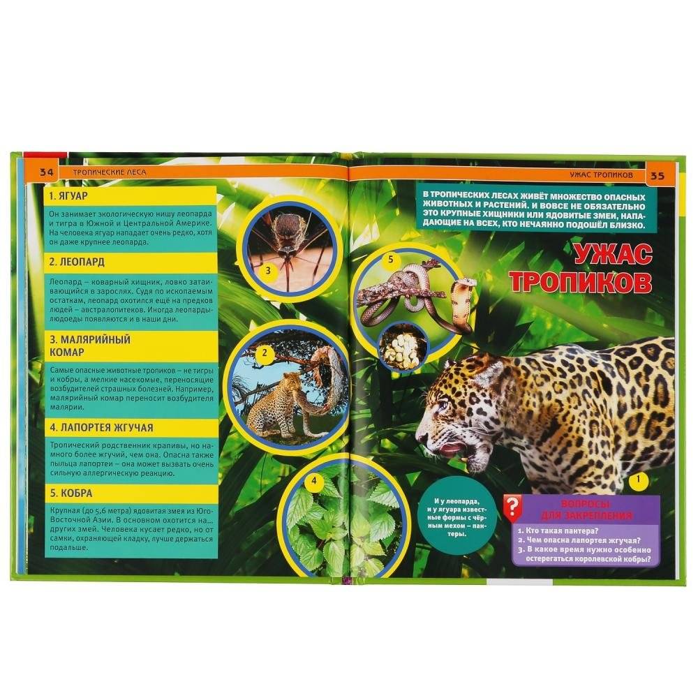 Тропические леса фото книги 4