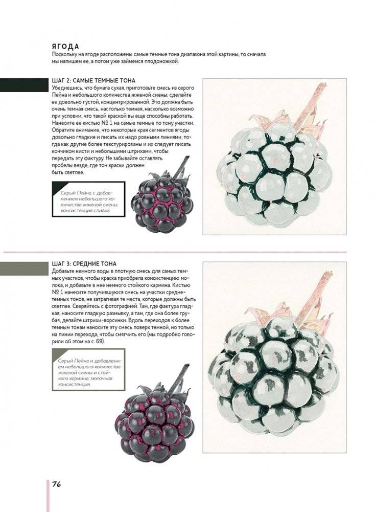 Волшебный мир Анны Мейсон. Рисуем природу. Все секреты реалистичной живописи фото книги 4