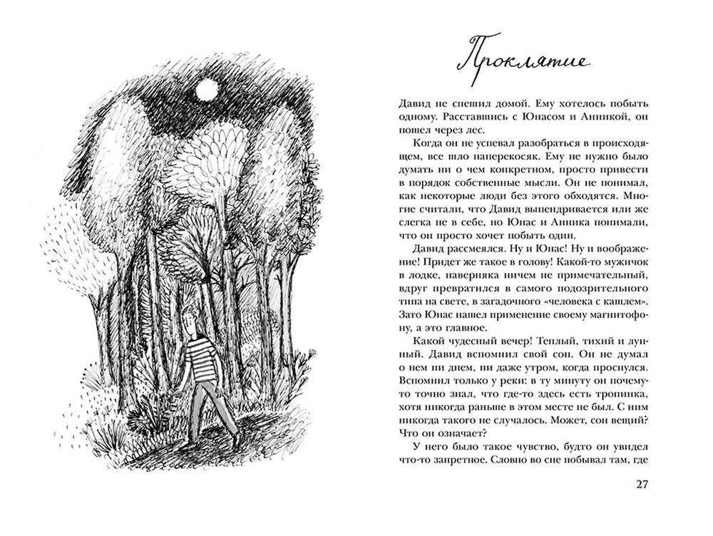 Навозный жук летает в сумерках фото книги 3