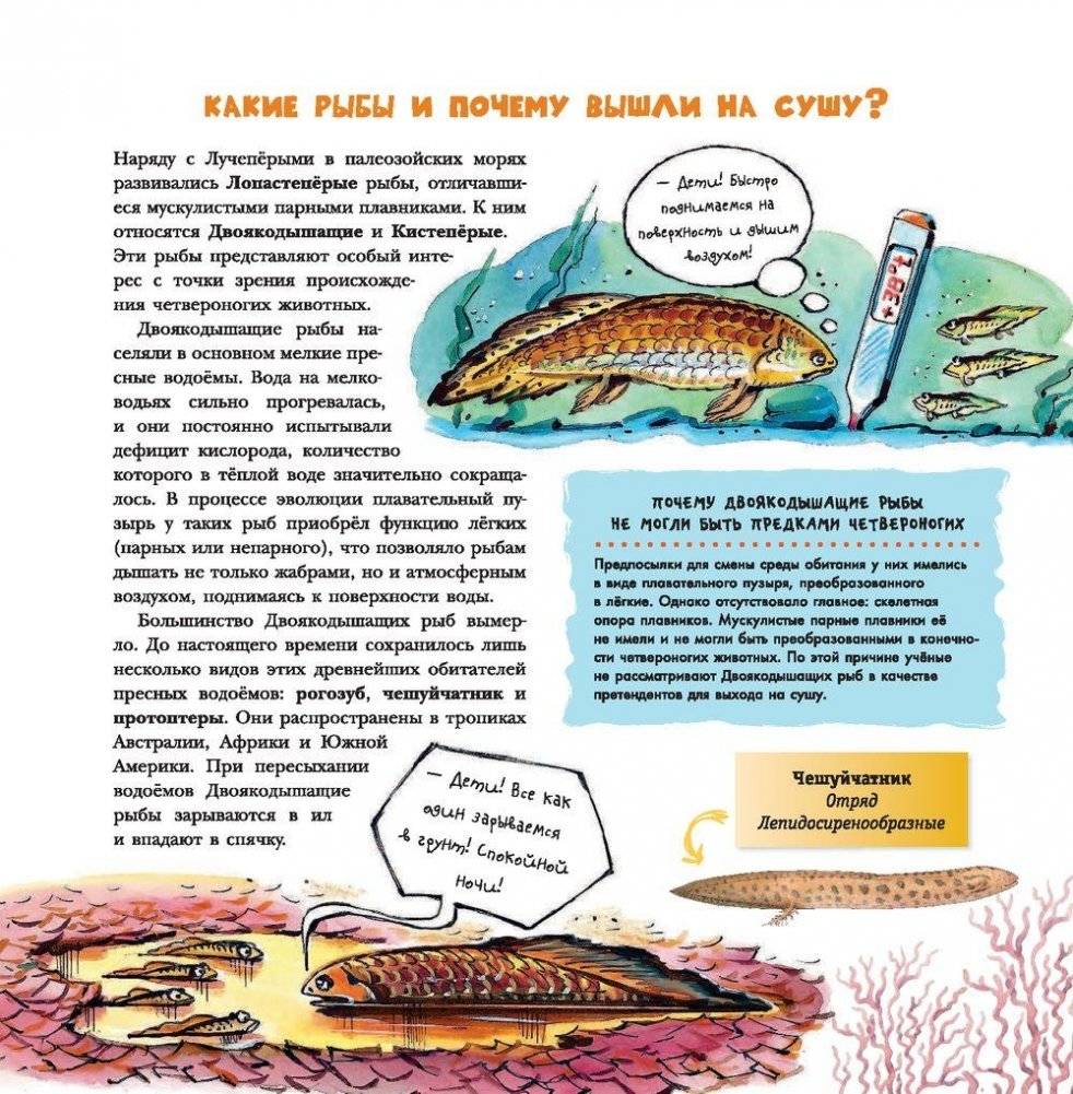 Динозавры фото книги 11