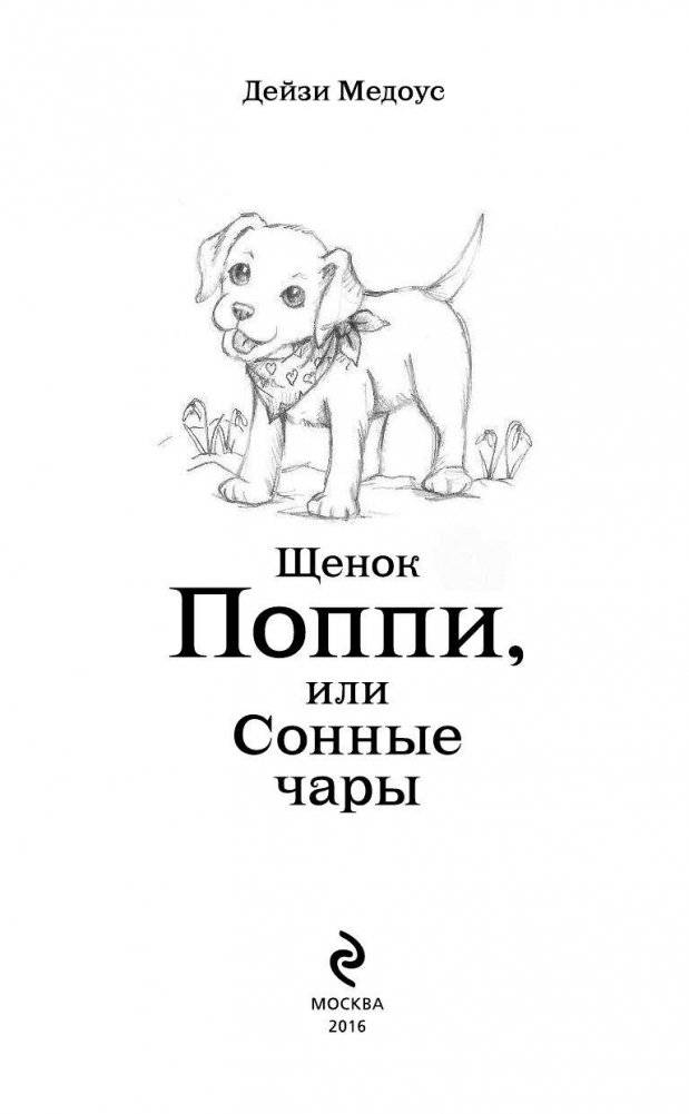 Щенок Поппи, или Сонные чары фото книги 4