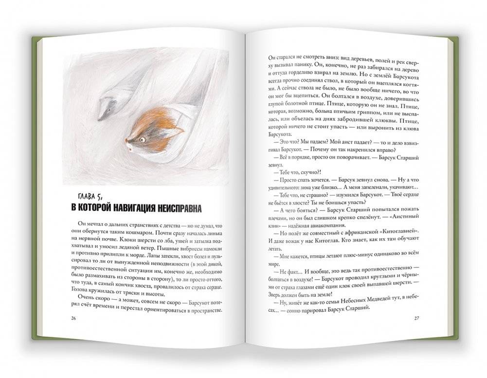 Боги Манго фото книги 3